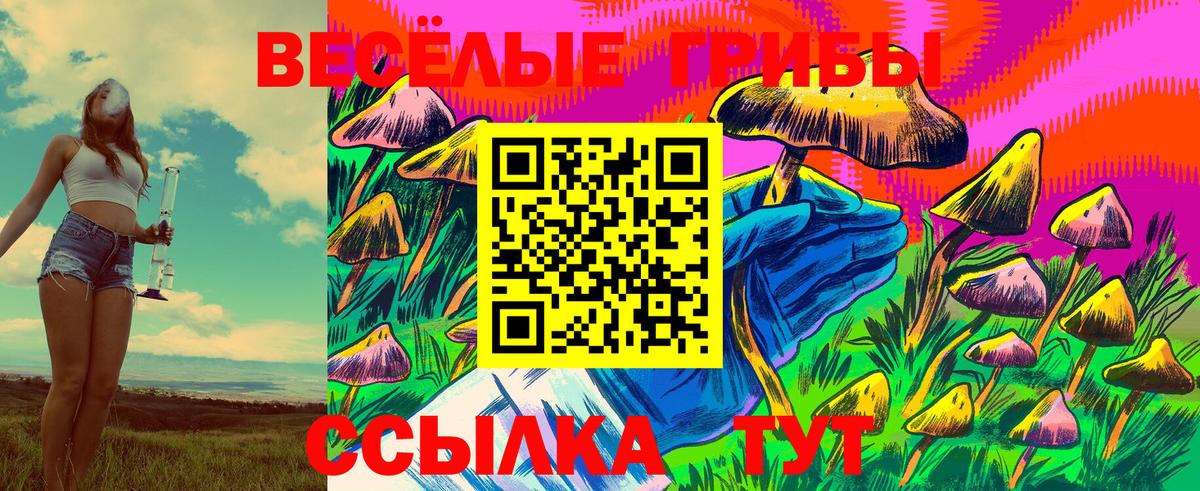 Псилоцибиновые грибы мицелий Минусинск