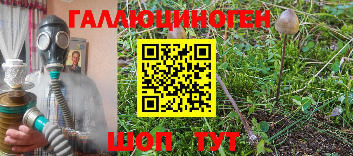 Галлюциногенные грибы Magic Shrooms  Вход с VPN  Минусинск  Галлюциногенные грибы мицелий 